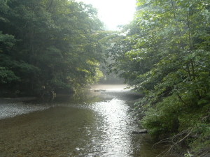 朝靄の由良川