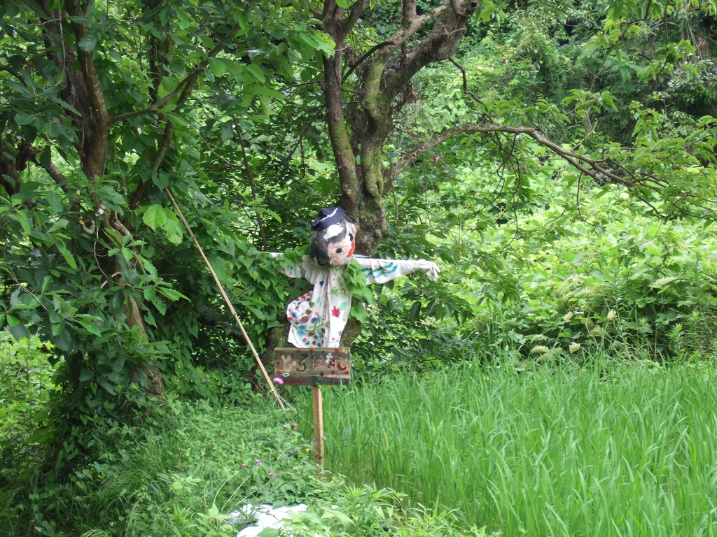 北摂を走っているとき出会った案山子（かかし）