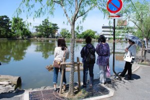 畏敬すべき美女軍団 畏敬すべき美女軍団