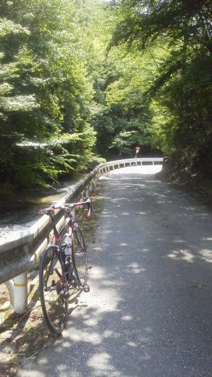 川下川ダムへ向かう道