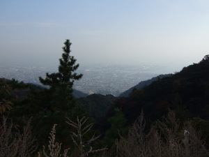 六甲山上から見る神戸の街並み