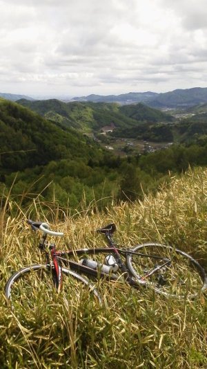 阿古谷林道から眺める里山、そして大阪方面
